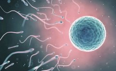 ȡ�Ѻ�ˮ��������