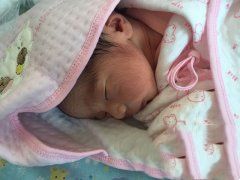 �����ֱ�������ҵ��ͥ������' /></a></div>
		<div class=