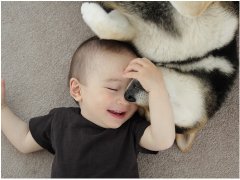 �����Թ����н���������������